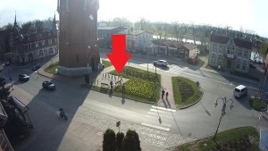 Kolejna kradzież kwiatów z miejskiego klombu w Malborku. Nasza kamera wszystko zarejestrowała