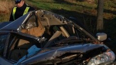  WYPADEK NA KRAJOWEJ 55. 34-LATKA UDERZYŁA W DRZEWO W GOŚCISZEWIE - 21.12.2014