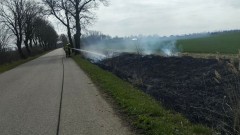 Pożary traw i śmieci – tygodniowy raport malborskich służb mundurowych.
