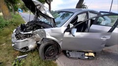 Gmina Stare Pole. Pijany kierowca uderzył w drzewo i uciekł z miejsca zdarzenia.