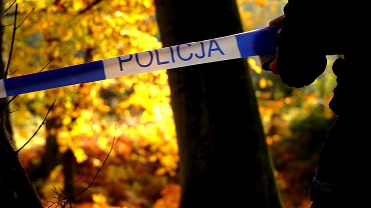 Mierzeja Wiślana. Grzybiarze znajdują niewybuchy – policjanci informują, jak postąpić ze znaleziskiem.