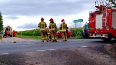 Wypadek w Chlebówce, potrącenie nastolatki i 9 interwencji związanych z gniazdami owadów błonkoskrzydłych – tygodniowy raport malborskich służb mundurowych.