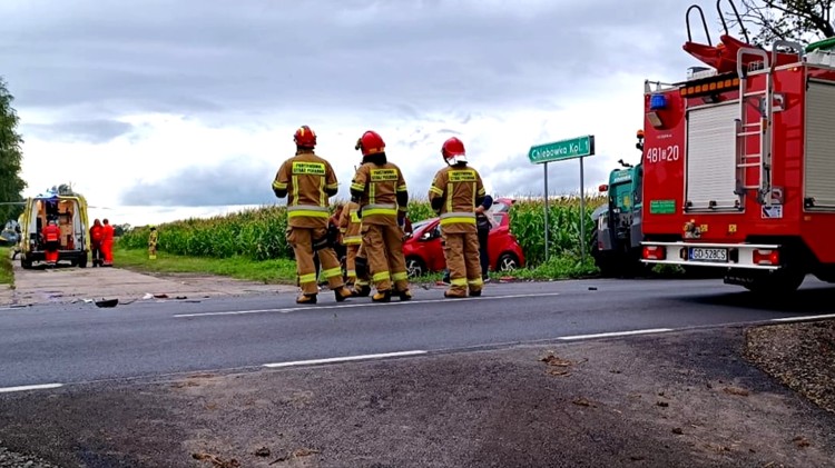 Wypadek w Chlebówce, potrącenie nastolatki i 9 interwencji związanych z gniazdami owadów błonkoskrzydłych – tygodniowy raport malborskich służb mundurowych.