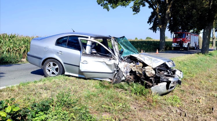 Powiat sztumski. Osobówką w drzewo ? kierowca stracił panowanie nad…