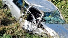 Wypadki, kolizje i wąż w budynku gospodarczym – tygodniowy raport malborskich służb mundurowych.