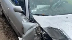 Powiat sztumski. Auto z przyczepką z bykiem w środku wpadło do rowu&#8230;