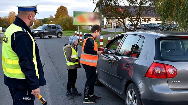 Malbork. Zielone Światło – wspólna akcja policjantów i uczniów.
