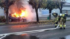 Pożar osobówki w Nowym Stawie i uwięziona sowa – tygodniowy raport malborskich służb mundurowych.