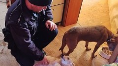 Malbork. Kobieta zostawiła zwierzęta bez opieki przez kilka dni – grozi jej do trzech lat więzienia za znęcanie się nad zwierzętami.