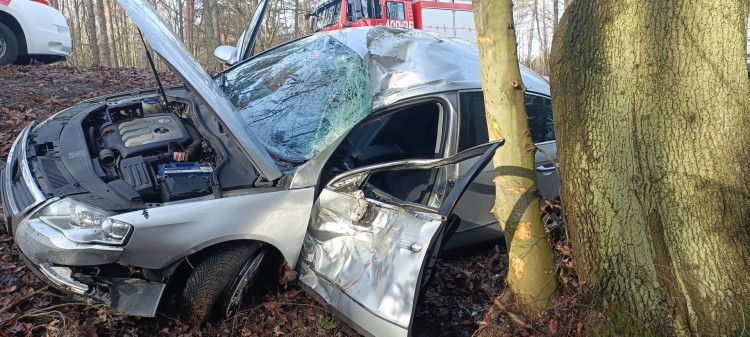 DW501. Jedna osoba w szpitalu po uderzeniu osobówki w drzewo w pobliżu Krynicy Morskiej.