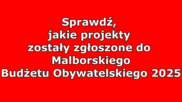 Malbork. Sprawdź, jakie projekty zostały zgłoszone do Budżetu Obywatelskiego 2025.