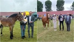 Stare Pole. Najlepsi hodowcy koni nagrodzeni przez Starostów Powiatu&#8230;