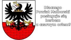 Dlaczego Powiat Malborski posługuje się herbem z czarnym orłem? - wyjaśnia starosta Piotr Szwedowski.