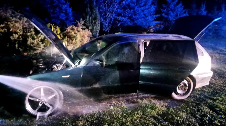 Pożar samochodu i pustostanu, wypadki drogowe i gniazda os – tygodniowy raport malborskich służb mundurowych.