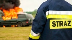 Pożar samochodu, kolizja i przewrócone drzewa – tygodniowy raport malborskich służb mundurowych.