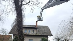 Powiat malborski. Pożary sadzy, kontenerów i pustostanu – noworoczne interwencje strażaków.