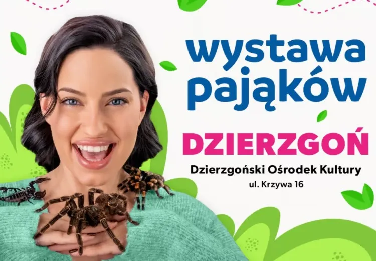 Wystawa Pająków w Dzierzgońskim Ośrodek Kultury