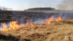 Coraz więcej pożarów traw w powiecie – tygodniowy raport malborskich służb mundurowych.