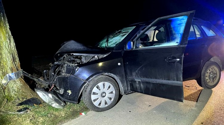 Gmina Stare Pole. Osobówką w drzewo – kierująca miała prawie 3 promile alkoholu w organizmie.