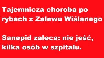 Tajemnicza choroba po rybach z Zalewu Wiślanego - Sanepid zaleca: nie&#8230;