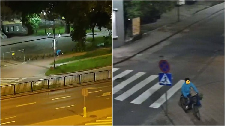 Malbork. Róże z miejskiej rabaty skradzione pod osłoną nocy.