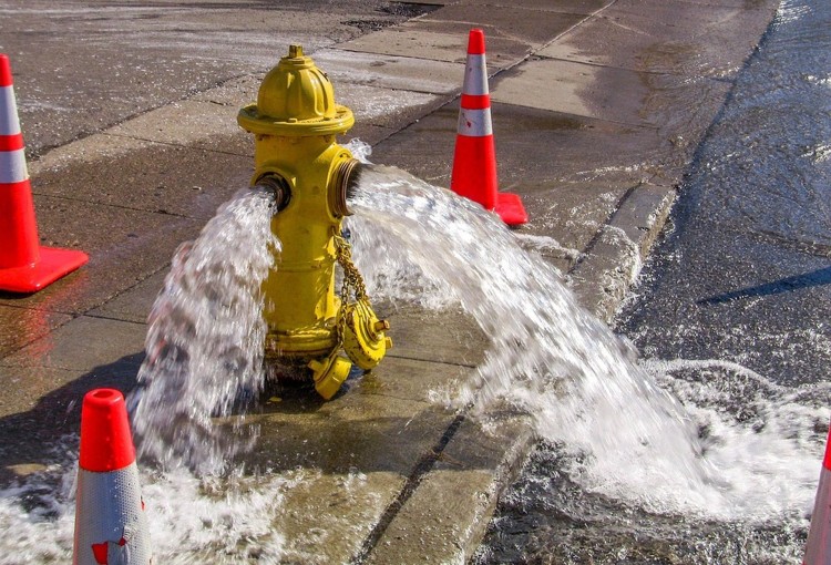 Uszkodzony hydrant, pożar skrzynki elektrycznej i roje pszczół - tygodniowy raport malborskich służb mundurowych.