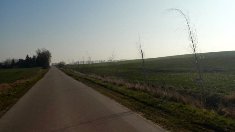 Zmieniamy Powiat Sztumski – zagłosuj na lokalizację przyszłych nasadzeń…