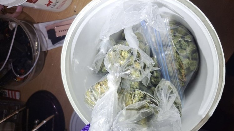 Policjanci z Nowego Dworu Gdańskiego przechwycili ponad kilogram narkotyków.