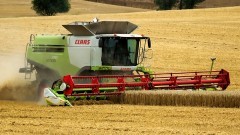 Pożar kombajnu, wąż w ogrodzie i owady błonkoskrzydłe – tygodniowy raport malborskich służb mundurowych.
