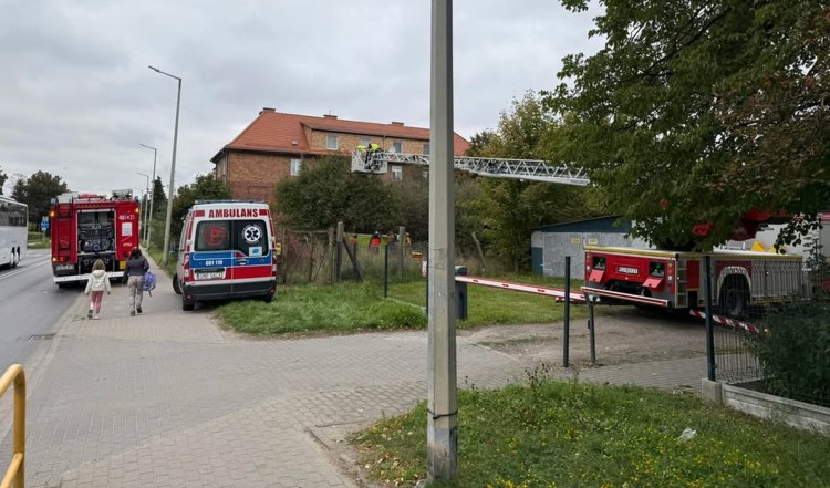 Dziecko na drzewie, próba samobójcza i wypadki drogowe – tygodniowy raport malborskich służb mundurowych.