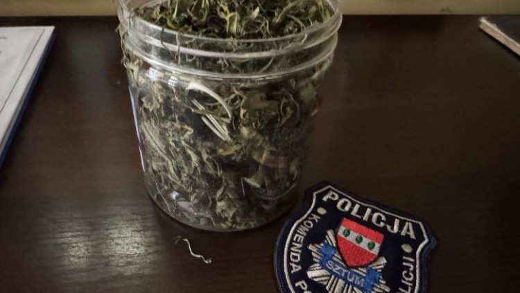 UPRAWIAŁ KONOPIE W PRZYDOMOWEJ SZKLARNI