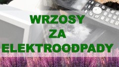 Oddaj elektroodpady, odbierz wrzosy – 3. edycja ekologicznej akcji w Starym Polu.