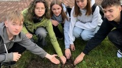 Krokus - Technikum nr 3 w Malborku po raz piąty w projekcie upamiętniającym dziecięce ofiary Holokaustu.