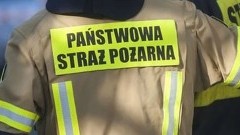Pożary, kolizja i powalone drzewo – tygodniowy raport malborskich służb mundurowych.