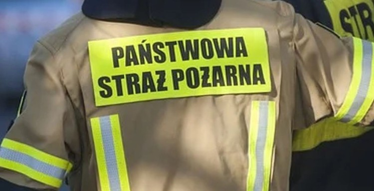Pożary, kolizja i powalone drzewo – tygodniowy raport malborskich służb mundurowych.