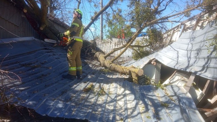 Przewrócone drzewo na budynki gospodarcze, dziecko zatrzaśnięte w samochodzie i pożary traw - tygodniowy raport malborskich służb mundurowych.