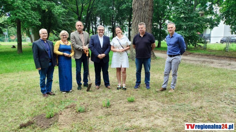 W Malborku powstanie pierwsza miejska pasieka. „Malborska Miodosfera” połączy ekologię, edukację i pomoc potrzebującym. Wideo i zdjęcia