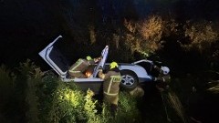 Samochód w rowie, krowa w Nogacie i owady błonkoskrzydłe - tygodniowy raport malborskich służb mundurowych.