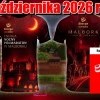 ENERGA NOCNY PÓŁMARATON W MALBORKU!