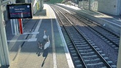 Łabędzie "czekały" na pociąg, na przystanku PKM Gdańsk . "Wzór zachowania na peronie" zarejestrował  monitoring - 22.06.2016