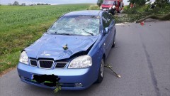 Niebezpieczna aura. Interwencje do połamanych drzew i konarów. Weekendowy raport sztumskich służb mundurowych – 27.06 – 4.07.2016