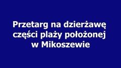 Przetarg na dzierżawę części plaży położonej w Mikoszewie, Wójt&#8230;