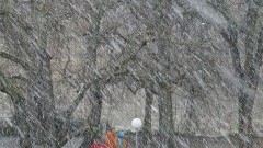 Europa zagrożona "zimą stulecia"! Temperatura spadnie do - 30 stopni Celsjusza - 20.09.2017