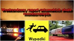 Narkotyki 18-latka. Dachowanie przez dzika. Raport weekendowy sztumskich służb mundurowych – 23.10.2017