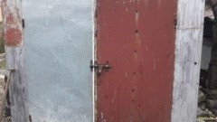 40- latek trzymał zwierzęta w nieludzkich warunkach! Grozi mu więzienie! - 09.11.2017