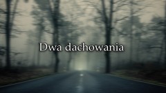 Dachowania i nietrzeźwi kierujący. Raport sztumskich służb mundurowych&#8230;