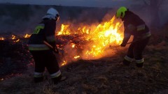Powiat malborski: Podpalacze traw grasują. Od połowy marca strażacy gasili pożary łąk i nieużytków 26 razy!