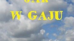 Nowy Dwór Gdański : Zobacz majowe propozycje Kina Żuławy i Żuławskiego Ośrodka Kultury