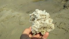 Junoszyno: Bryły wosku na plaży - relacja widza.