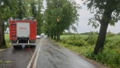 Powiat sztumski: Powalone drzewa, uszkodzone dachy i nie tylko. 72 interwencje straży pożarnej w wyniku gwałtownej burzy.